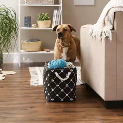 Black Paw Trellis Rectangle Basket, 16 in.