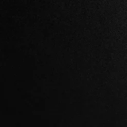 Black Wood and Rattan 2-Door Cabinet