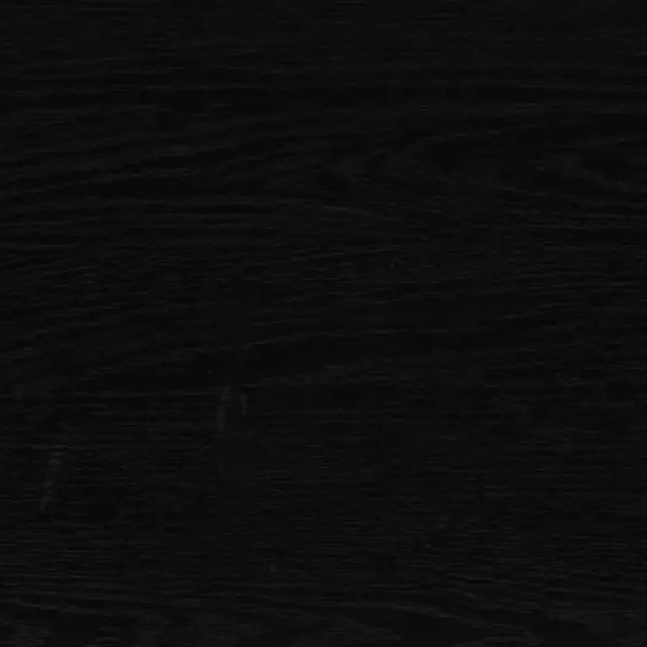 Black Wood and Rattan 2-Door Sideboard