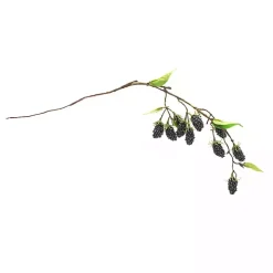 Blackberry Vine Sprays, Set of 6