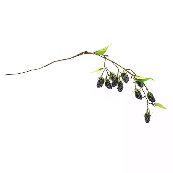 Blackberry Vine Sprays, Set of 6