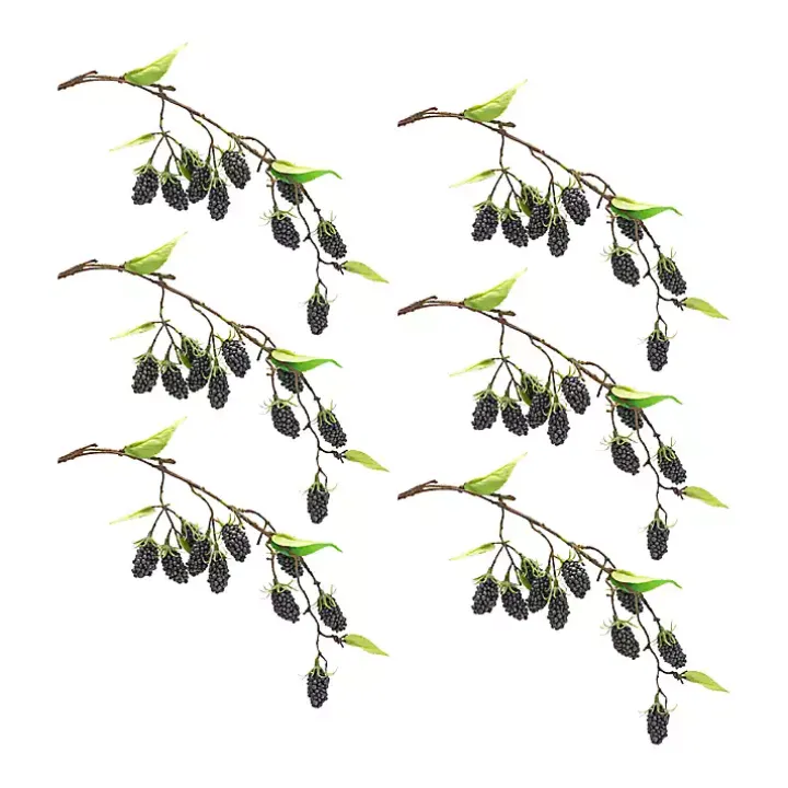Blackberry Vine Sprays, Set of 6