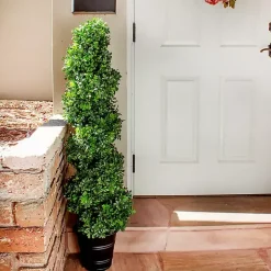 Boxwood Spiral Topiary, 48 in.