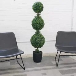 Boxwood Triple Topiary in Decorative Black Pot