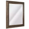 Bronze Ornate Beveled Framed Wall Mirror