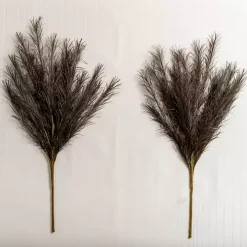 Brown Glittered Pampas Stems, Set of 2