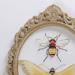 Bugs on Glass Framed Art Print