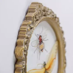 Bugs on Glass Framed Art Print