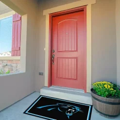 Carolina Panthers Area Rug, 3x4