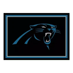 Carolina Panthers Area Rug, 4x6