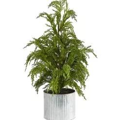 Cedar Pine Mini Tree in Corrugated Metal Planter