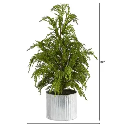 Cedar Pine Mini Tree in Corrugated Metal Planter