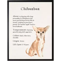 Chihuahua Facts Framed Wall Plaque