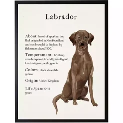 Chocolate Labrador Facts Framed Wall Plaque