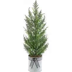 Cypress Mini Potted Christmas Tree