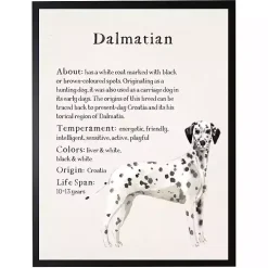 Dalmation Facts Framed Wall Plaque