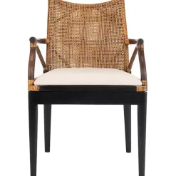 Dark Rattan and Mahogany Gianni Accent Chair