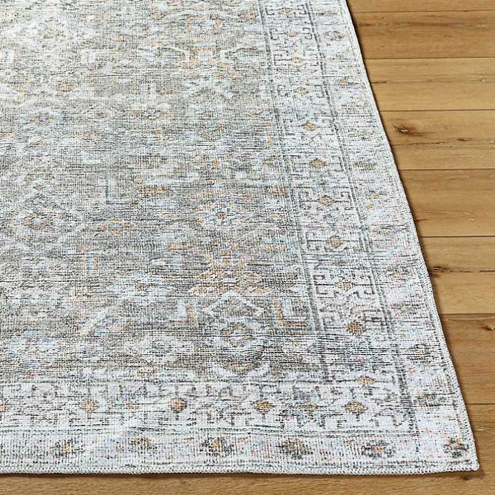 Darling Traditional Washable Area Rug, 6x9