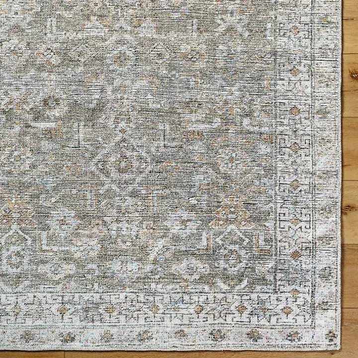 Darling Traditional Washable Area Rug, 6x9