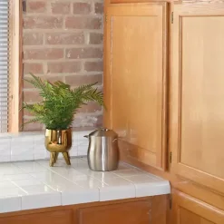 Desktop Palm Plant in Gold Planter