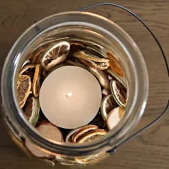 Dried Fruit Slice Filler