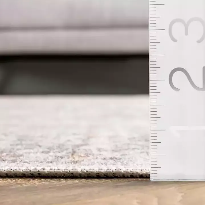 Etta Distressed Vintage Washable Area Rug, 5x8