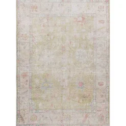 Faded Botanical Washable Area Rug, 6x9