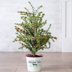 Farm Fresh Bucket Christmas Tree, 33 in.