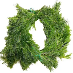 Fresh Cut White Pine Christmas Garland
