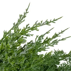 Frosted Cedar Pinecone Wreath