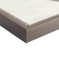 Gilded Feathers Canvas Art Prints, Set of 2