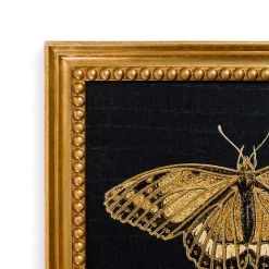 Gold Moth Framed Art Print