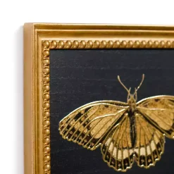 Gold Moth Framed Art Print