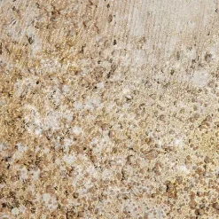 Golden Glimmer Canvas Art Prints, Set of 2