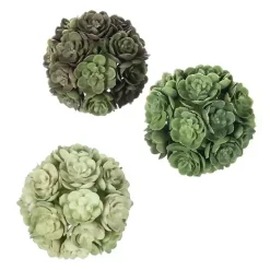 Green Echeveria Orbs, Set of 3