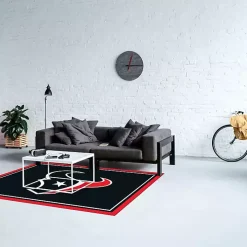 Houston Texas Area Rug, 4x6