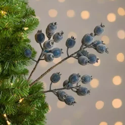 Iced Blue Berry Pick