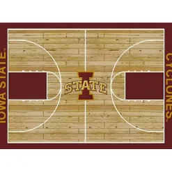 Iowa State University Courtside Area Rug, 4x6