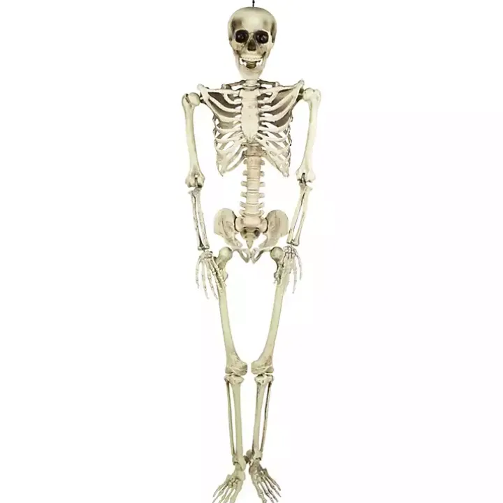 Life Size Outdoor Skeleton Decoration