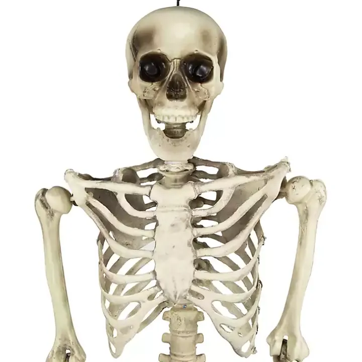 Life Size Outdoor Skeleton Decoration