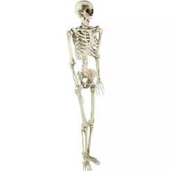 Life Size Outdoor Skeleton Decoration