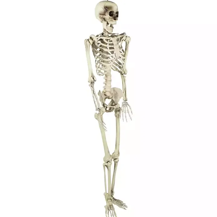 Life Size Outdoor Skeleton Decoration