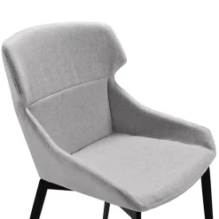 Light Gray Kenna Dining Chairs, Set of 2