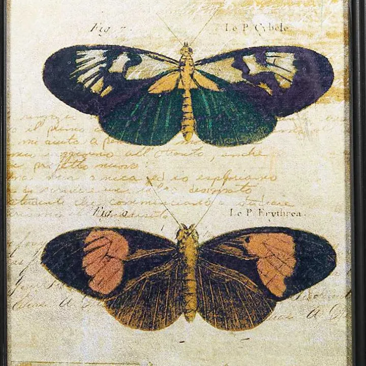 Literary Butterflies Framed Art Prints, Set of 2