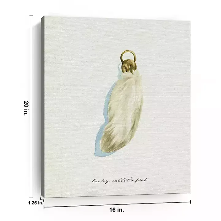 Lucky Rabbit's Foot Canvas Art Print