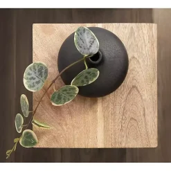 Mango Wood Tabletop Square Side Table