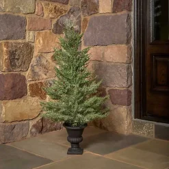 Mini Spruce Tree in Urn Planter