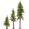 Natural Alpine Christmas Trees, Set of 3