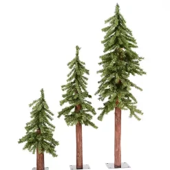 Natural Alpine Christmas Trees, Set of 3