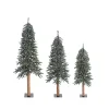 Natural Bark Alpine Christmas Trees, Set of 3